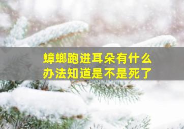 蟑螂跑进耳朵有什么办法知道是不是死了