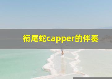 衔尾蛇capper的伴奏