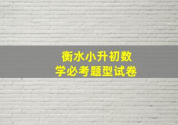 衡水小升初数学必考题型试卷