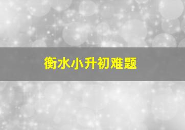 衡水小升初难题