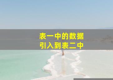 表一中的数据引入到表二中