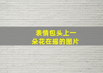 表情包头上一朵花在摇的图片