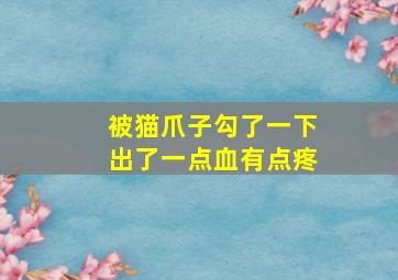 被猫爪子勾了一下出了一点血有点疼