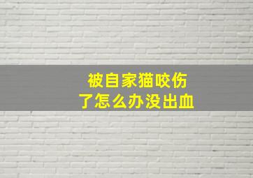 被自家猫咬伤了怎么办没出血