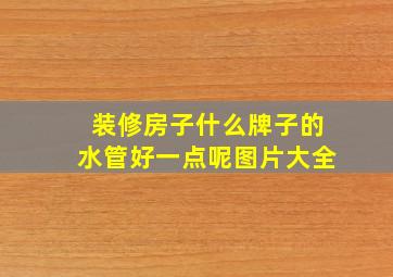 装修房子什么牌子的水管好一点呢图片大全