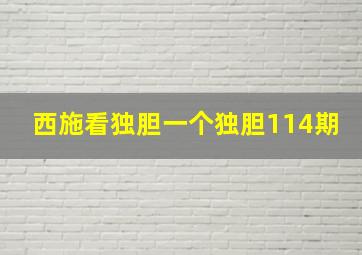 西施看独胆一个独胆114期