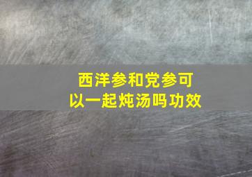 西洋参和党参可以一起炖汤吗功效