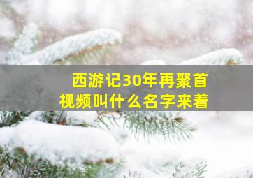 西游记30年再聚首视频叫什么名字来着