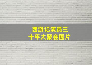 西游记演员三十年大聚会图片