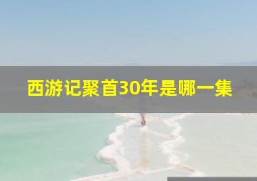 西游记聚首30年是哪一集