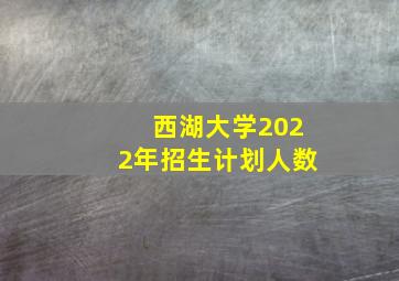 西湖大学2022年招生计划人数