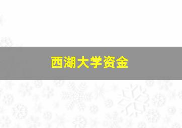 西湖大学资金