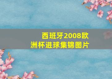 西班牙2008欧洲杯进球集锦图片