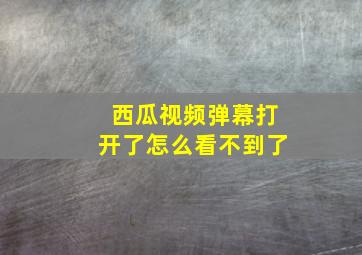 西瓜视频弹幕打开了怎么看不到了