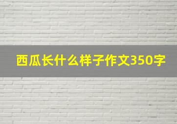 西瓜长什么样子作文350字