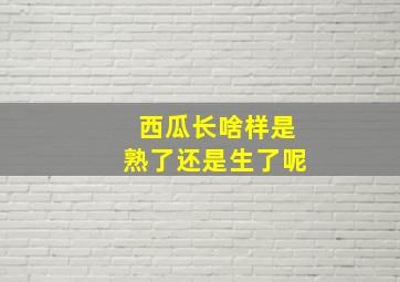 西瓜长啥样是熟了还是生了呢