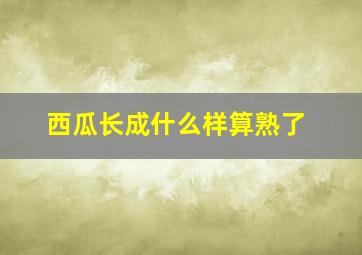 西瓜长成什么样算熟了