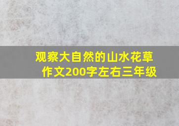 观察大自然的山水花草作文200字左右三年级