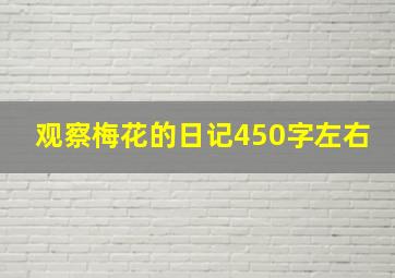 观察梅花的日记450字左右