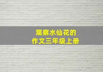 观察水仙花的作文三年级上册