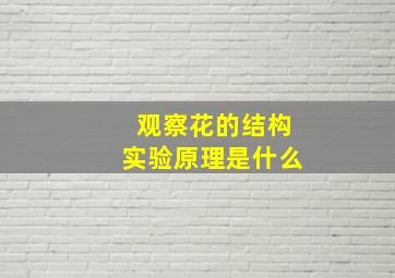 观察花的结构实验原理是什么