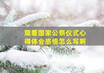 观看国家公祭仪式心得体会感悟怎么写啊