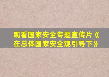 观看国家安全专题宣传片《在总体国家安全观引导下》