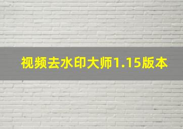 视频去水印大师1.15版本