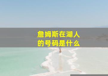 詹姆斯在湖人的号码是什么