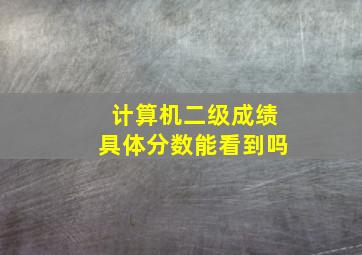 计算机二级成绩具体分数能看到吗