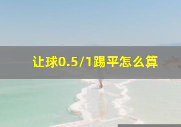 让球0.5/1踢平怎么算