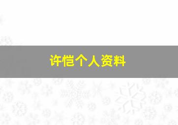 许恺个人资料