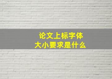 论文上标字体大小要求是什么