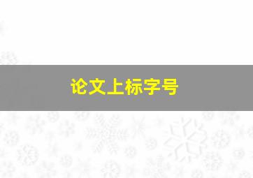 论文上标字号