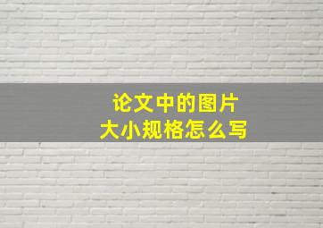 论文中的图片大小规格怎么写