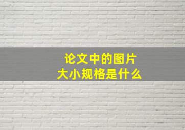 论文中的图片大小规格是什么