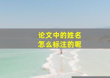 论文中的姓名怎么标注的呢