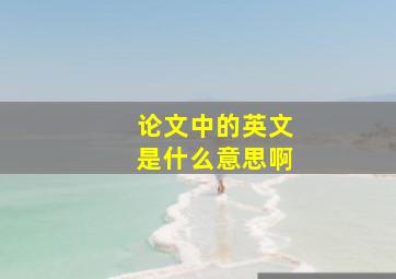 论文中的英文是什么意思啊