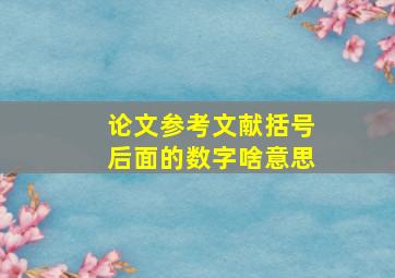 论文参考文献括号后面的数字啥意思