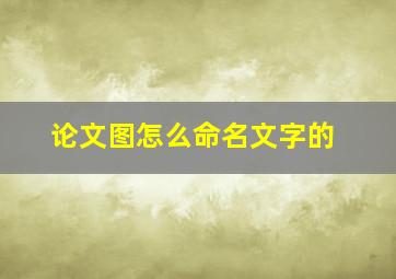 论文图怎么命名文字的