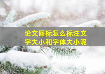 论文图标怎么标注文字大小和字体大小呢