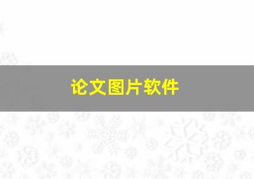 论文图片软件