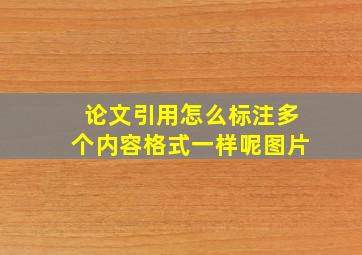 论文引用怎么标注多个内容格式一样呢图片