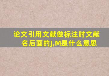 论文引用文献做标注时文献名后面的J,M是什么意思