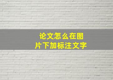 论文怎么在图片下加标注文字