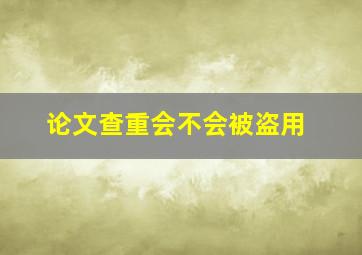 论文查重会不会被盗用