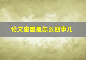 论文查重是怎么回事儿