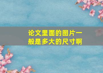 论文里面的图片一般是多大的尺寸啊