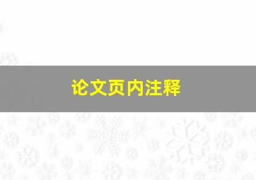 论文页内注释