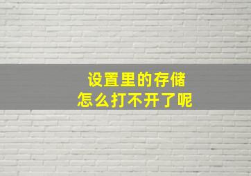 设置里的存储怎么打不开了呢